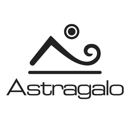 11 astragalo